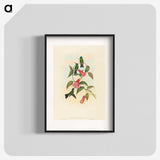 1-63_John-Gould_blk