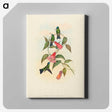 1-63_John-Gould_canvas