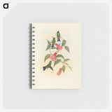 1-63_John-Gould_memo