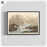1-63_John-James-Audubon_blk-crop