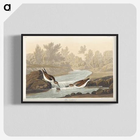 1-63_John-James-Audubon_blk-crop