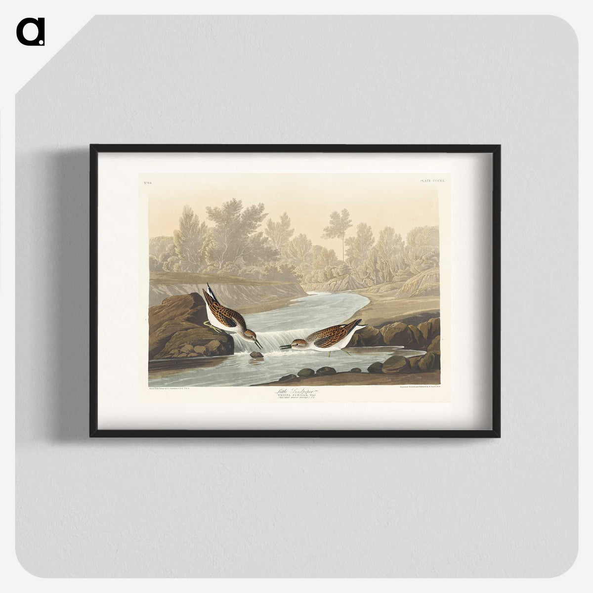 1-63_John-James-Audubon_blk