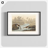 1-63_John-James-Audubon_blk