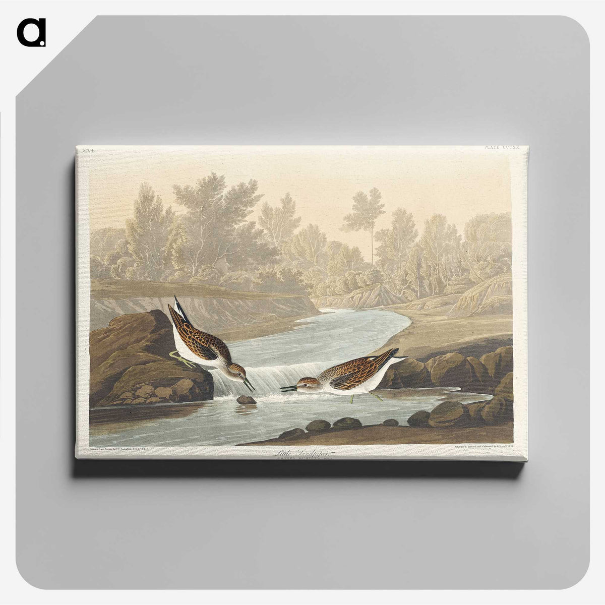 1-63_John-James-Audubon_canvas