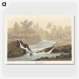1-63_John-James-Audubon_picture-crop