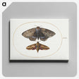 1-63_Joris-Hoefnagel_canvas