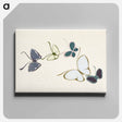 アートパネル-Vintage butterfly - 神坂 雪佳 Canvas.