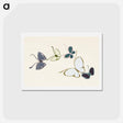 アートポストカード-Vintage butterfly - 神坂 雪佳 Postcard.