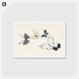 アートポストカード-Vintage butterfly - 神坂 雪佳 Postcard.