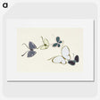 1-63_Kamisaka-Sekka_picture
