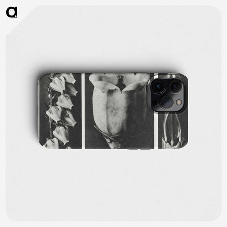 1-63_Karl-Blossfeldt_phone