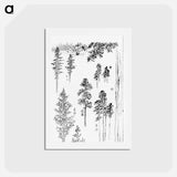 アートポストカード-Hokusai's pine trees - 葛飾 北斎 Postcard.