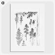 1-63_Katsushika-Hokusai_picture