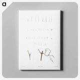 1-63_La-Botanique_canvas