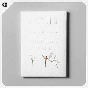 1-63_La-Botanique_canvas