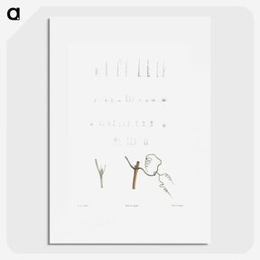 1-63_La-Botanique_picture