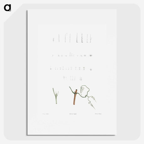 1-63_La-Botanique_picture
