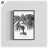 1-63_Les-Palmiers-Histoire-Iconographique_blk-crop