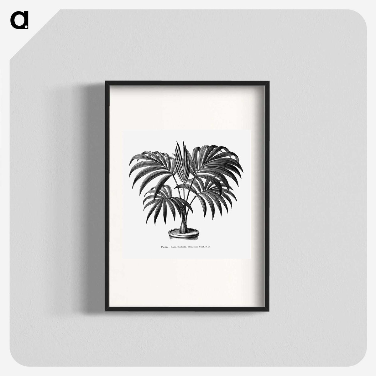 1-63_Les-Palmiers-Histoire-Iconographique_blk