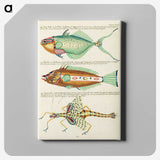 1-63_Louis-Renard_canvas