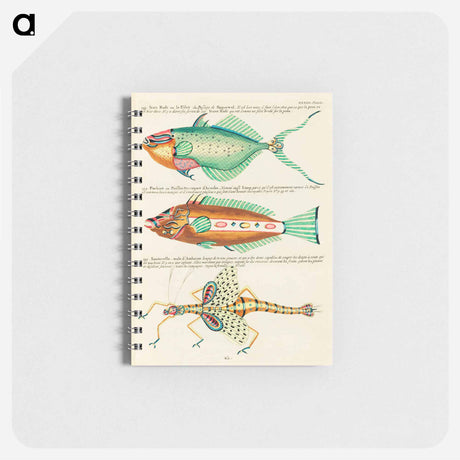 アートメモ帳-Moluccan Fishes
 - ルイ ルナール Memo.