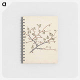 Commiphora gileadensis
 - ルイージ バルガーニ Memo.