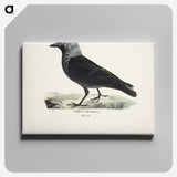 1-63_Magnus-von-Wright_canvas