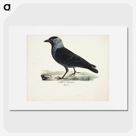 1-63_Magnus-von-Wright_picture