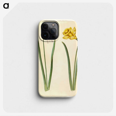 1-63_Maria-Sibylla-Merian_phone