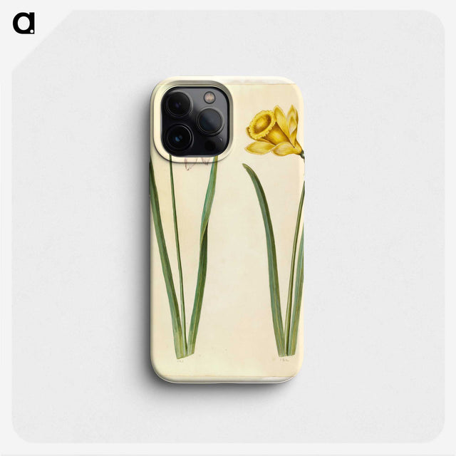 1-63_Maria-Sibylla-Merian_phone