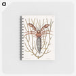 1-63_Mark-Catesby_memo