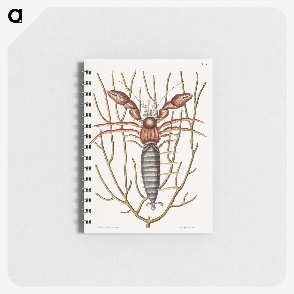 1-63_Mark-Catesby_memo