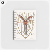 1-63_Mark-Catesby_memo