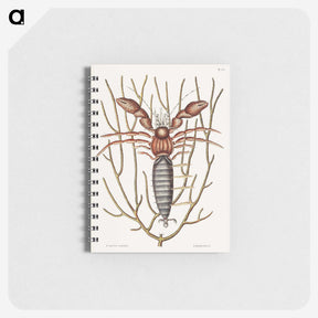 1-63_Mark-Catesby_memo