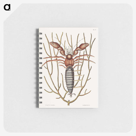 1-63_Mark-Catesby_memo