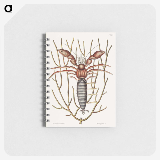 1-63_Mark-Catesby_memo