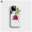 1-63_Mary-Vaux-Walcott_phone
