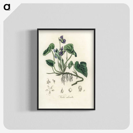 1-63_Medical-Botany_blk-crop