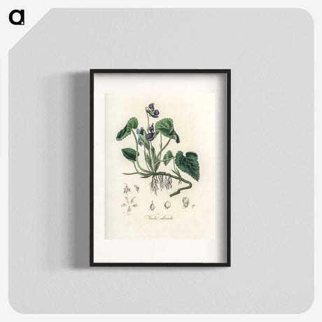 1-63_Medical-Botany_blk