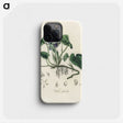 1-63_Medical-Botany_phone