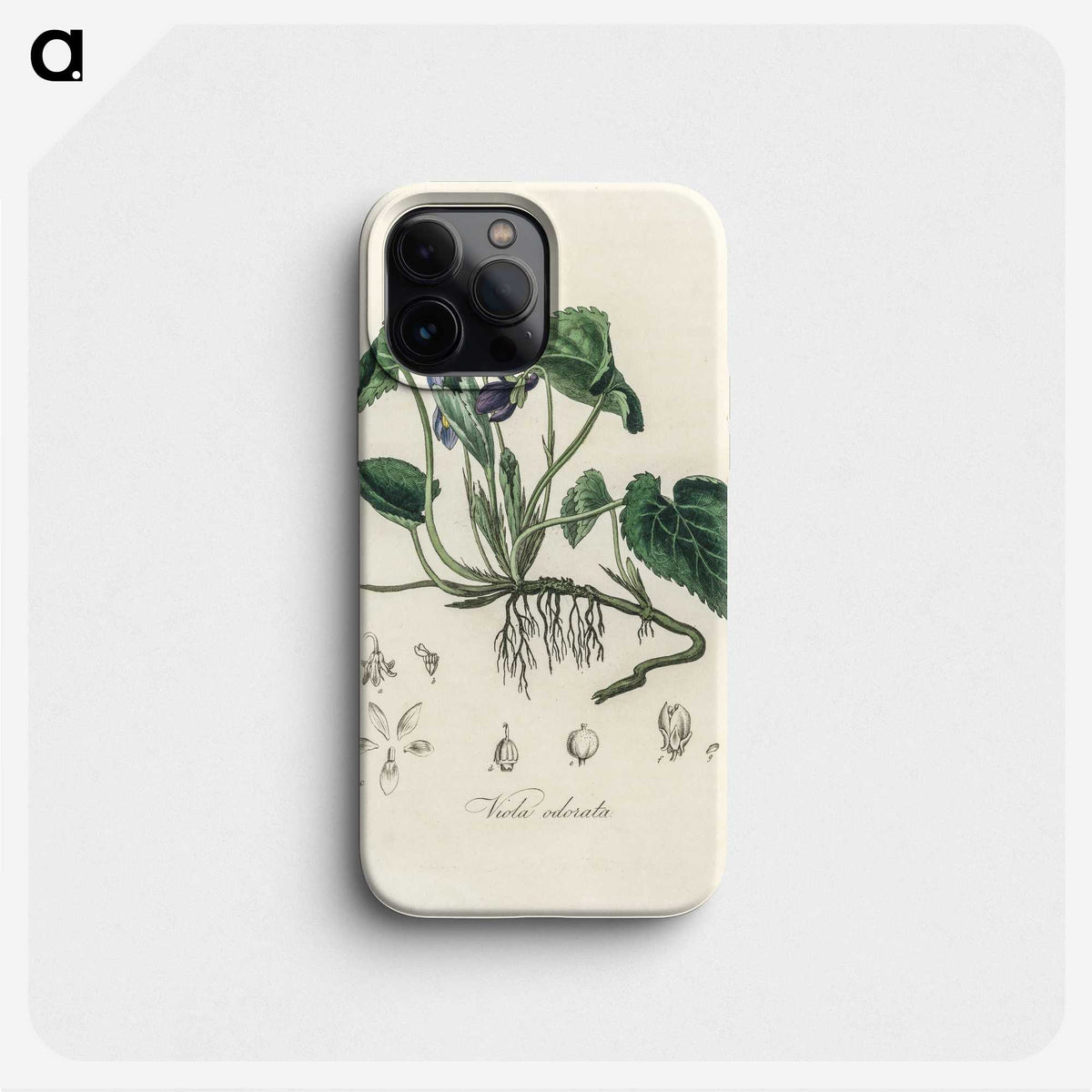 1-63_Medical-Botany_phone