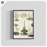 1-63_Native-Flowering-Plants-of-New-Zealand_blk-crop