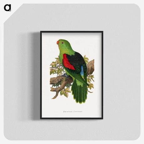 1-63_Parrots-in-Captivity_blk-crop