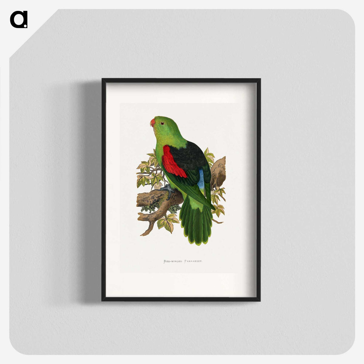 1-63_Parrots-in-Captivity_blk