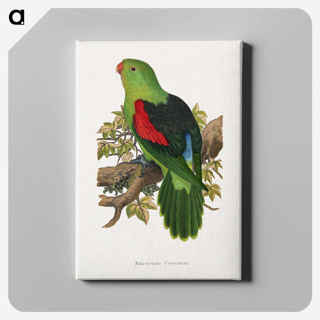 1-63_Parrots-in-Captivity_canvas