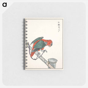 アートメモ帳-Macaw Illustration
 - 鳥類図鑑 Memo.