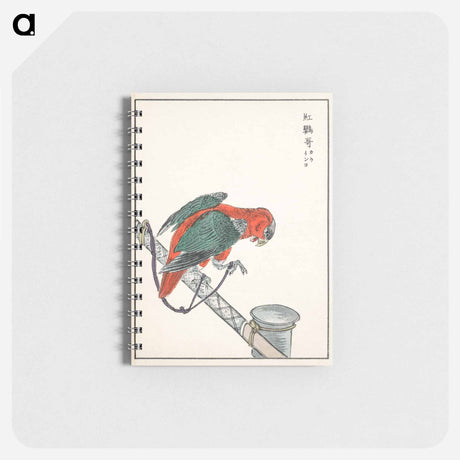 アートメモ帳-Macaw Illustration
 - 鳥類図鑑 Memo.