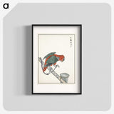 1-63_Pictorial-Monograph-of-Birds_blk