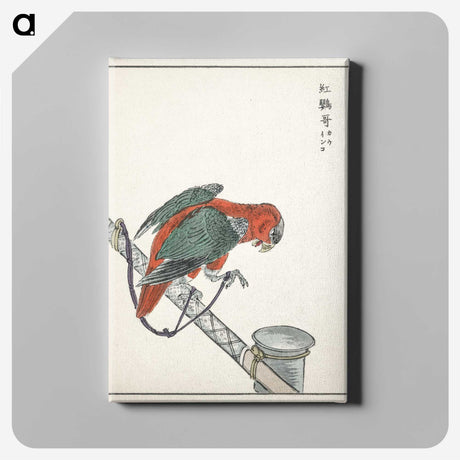 1-63_Pictorial-Monograph-of-Birds_canvas
