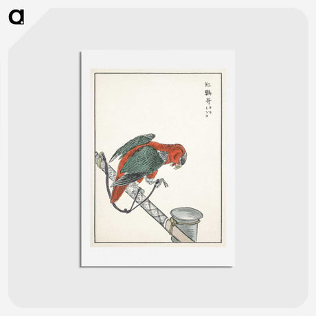 1-63_Pictorial-Monograph-of-Birds_hagaki
